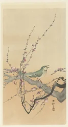 Songbird and Plum Blossom