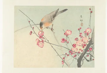 Songbird on Blossom Branch