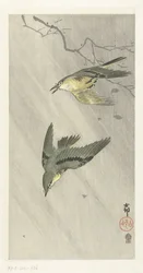 Songbirds in Rain