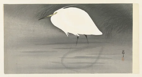 Silver Heron