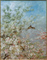 The May