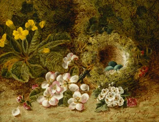 Apple Blossoms, a Primrose and Bird