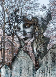 Winter Portrait