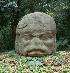 Colossal Head 4, Pre-Classic Period