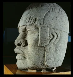 Colossal Head 4 from San Lorenzo, Veracruz, Mexico