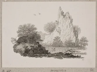 The Eagle Chick