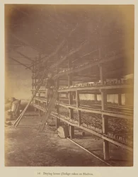Drying house (indigo cakes on shelves)