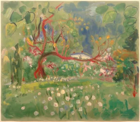 Spring in the Giant Mountains