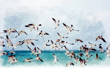Seagulls Over Turquoise Sea