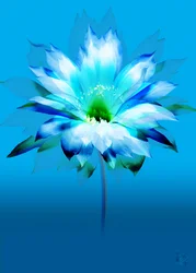 Vibrant Blue Bloom