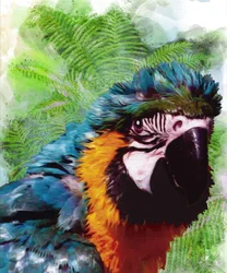 Vibrant Macaw Portrait