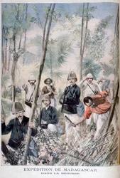 Madagascar Expedition