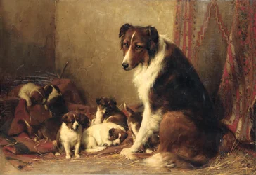 A Collie with her Puppies