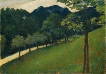 View from a Green Slope towards an Avenue