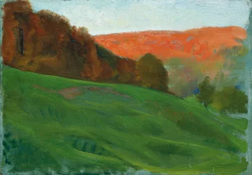 Autumn Forest Behind Green Meadow