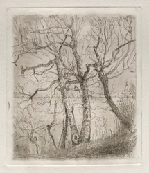 Trees