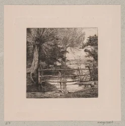 Willow Trees by a Stream