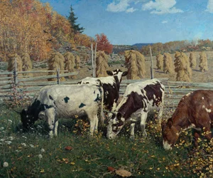 Autumn Morning