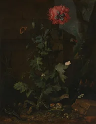 Still Life with Poppy, Insects, and Reptiles, ca. 1670