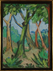 Forest
