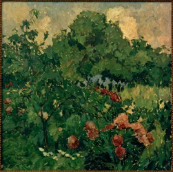 My Garden