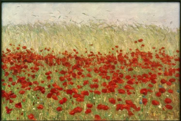 Poppies and Grain