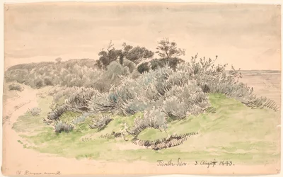 Landscape with Thicket