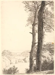 Landscape at Skarritsø with Two Tall Trees, Beeches, in the Foreground