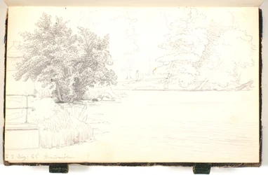 Forest Scene by a Lake