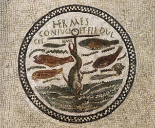 Mosaic with anchor surrounded by fish, symbol of Christ and his followers, Catacombs of Sousse, Tunisia, Early Christian period, 4th century