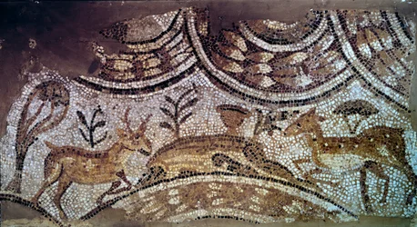 Paleochristian art: fragment of church mosaics: deer and deer drinking Water. 6th century AD. From Carthage, Bir Ftouha, Tunisia