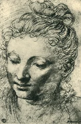 Head of a woman looking down, mid 16th century, 1943
