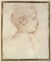 Head of a Boy