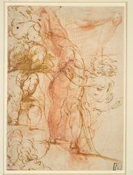 Several Studies of Putti Legs, Inward Running Male Nude, Leg Study and Standing Figure