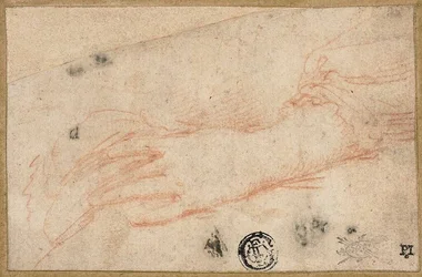 Sketch of Left Hand and Wrist