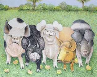 A Chorus Line