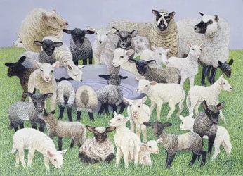 Feeling Sheepish