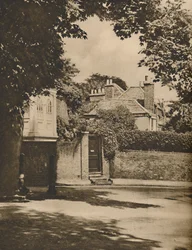 Sunlight and Shadow in a Winding Highgate Road