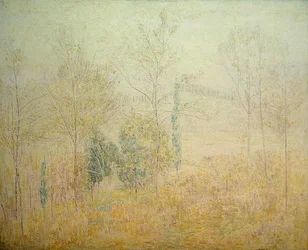 Tuscan Landscape in Early Spring with Green Poplars