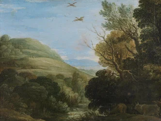 Hilly Landscape