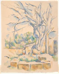 Pistachio Tree at Château Noir