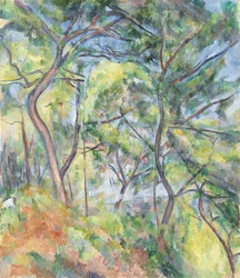 Undergrowth