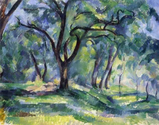 The Forest