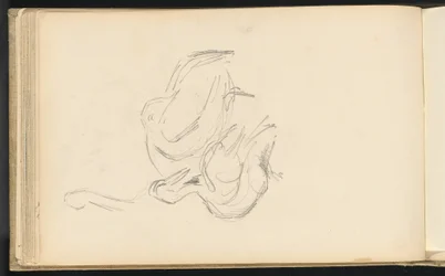 Pelicans