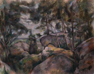 Rocks in the Forest