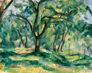 The Forest