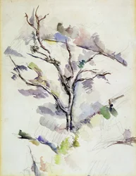The Oak