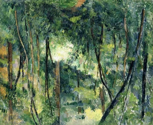 Undergrowth