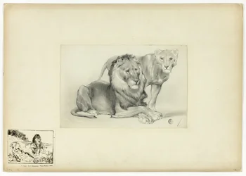 Lion and Lioness
