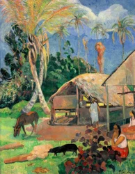 The Black Pigs